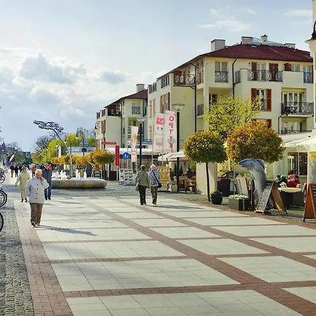 In Near The דירה